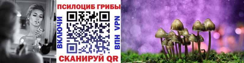 Галлюциногенные грибы Cubensis  блэк спрут ссылки  Николаевск 